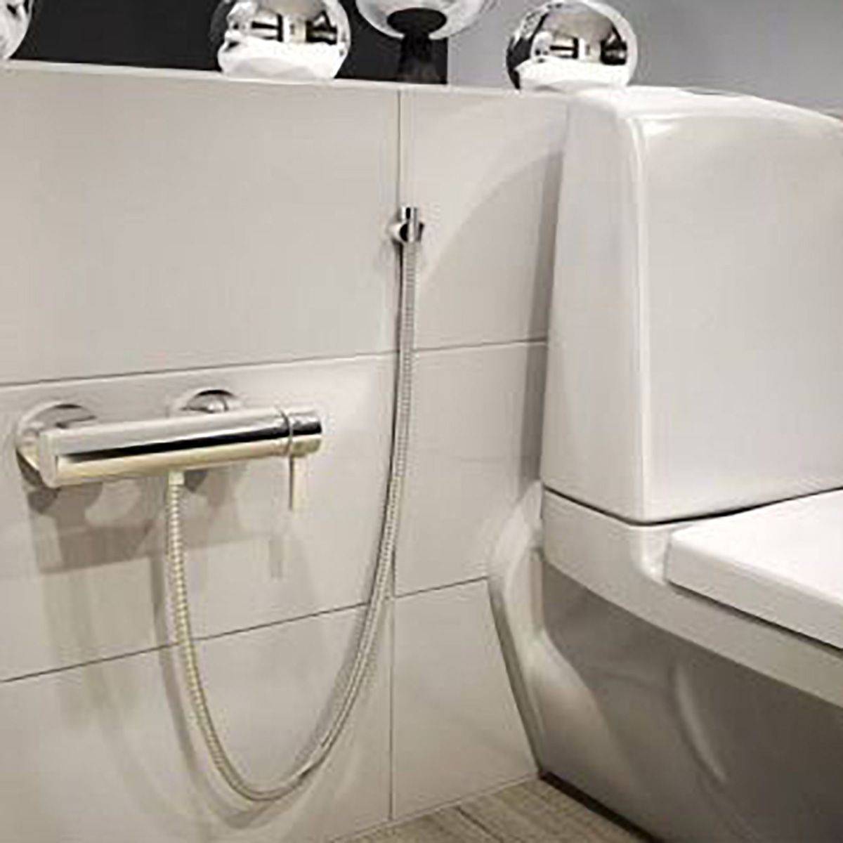 شیر توالت زئوس کروم کی دبلیو سی