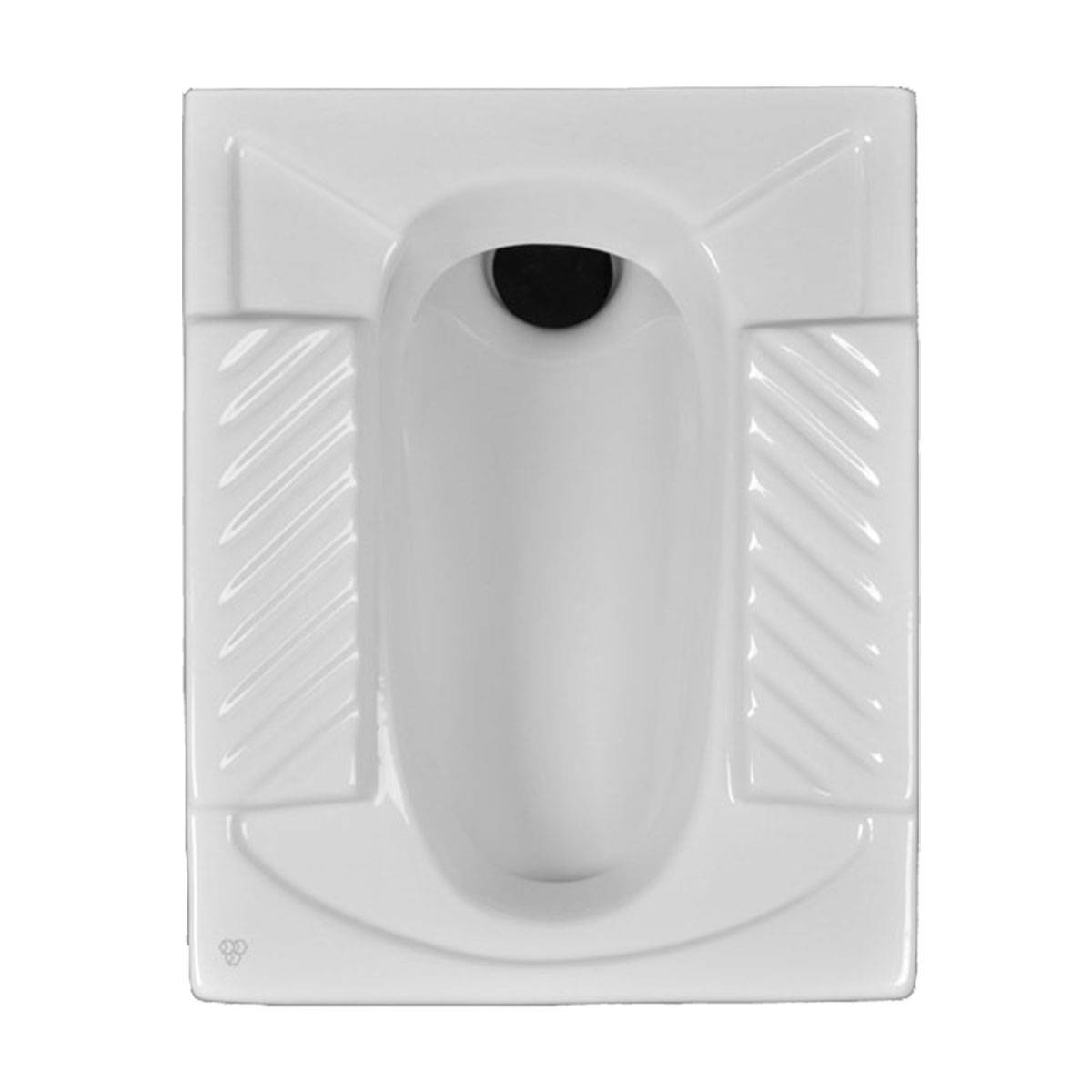 توالت زمینی ورونیکا چینی کرد