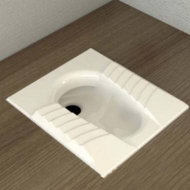 توالت زمینی نیلوفر گلسار فارس