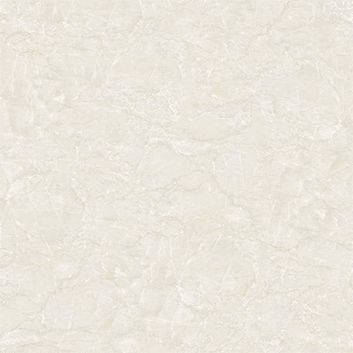 کاشی هوندا کرم بیوتی اسپرینگ