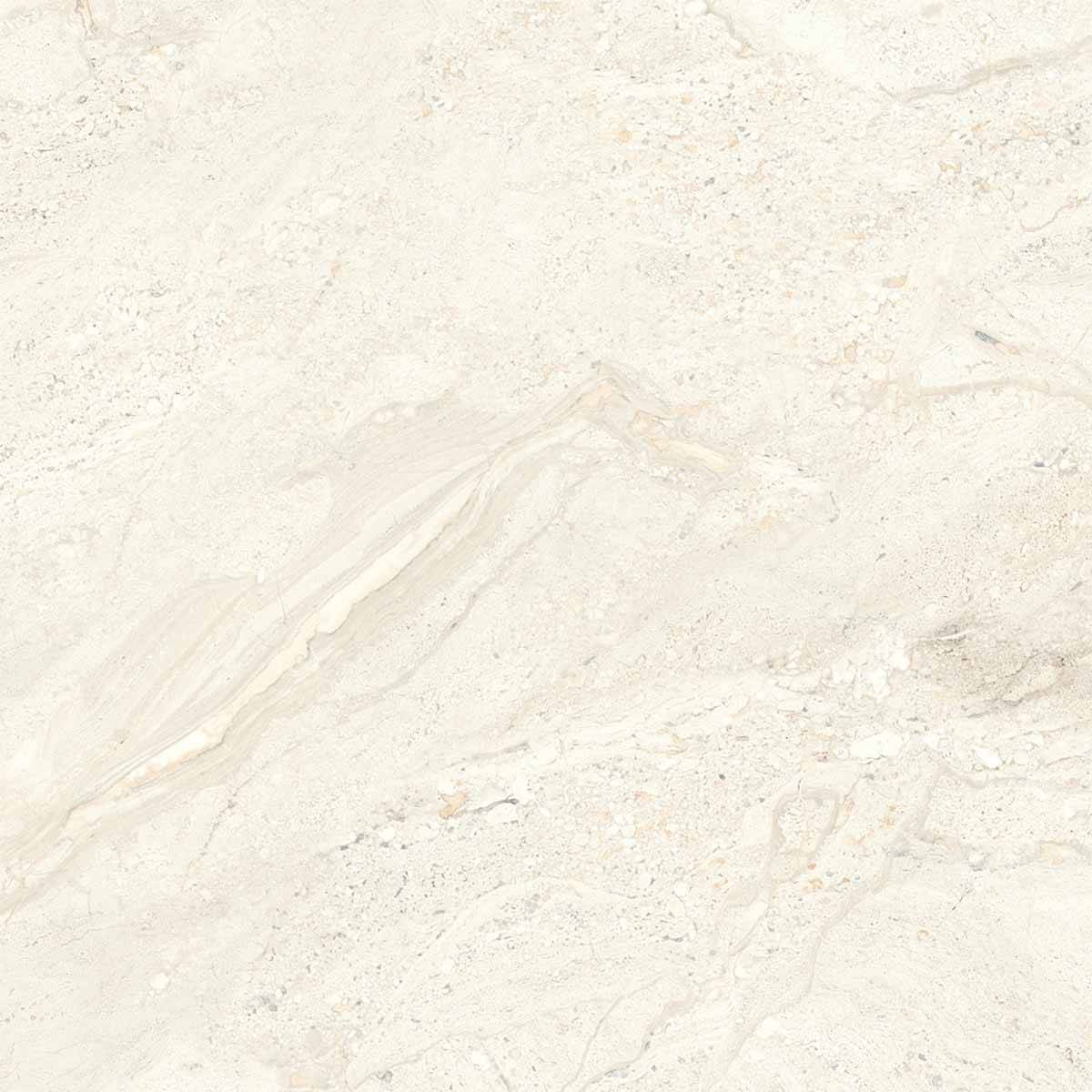 کاشی بیانکو کرم گلدیس