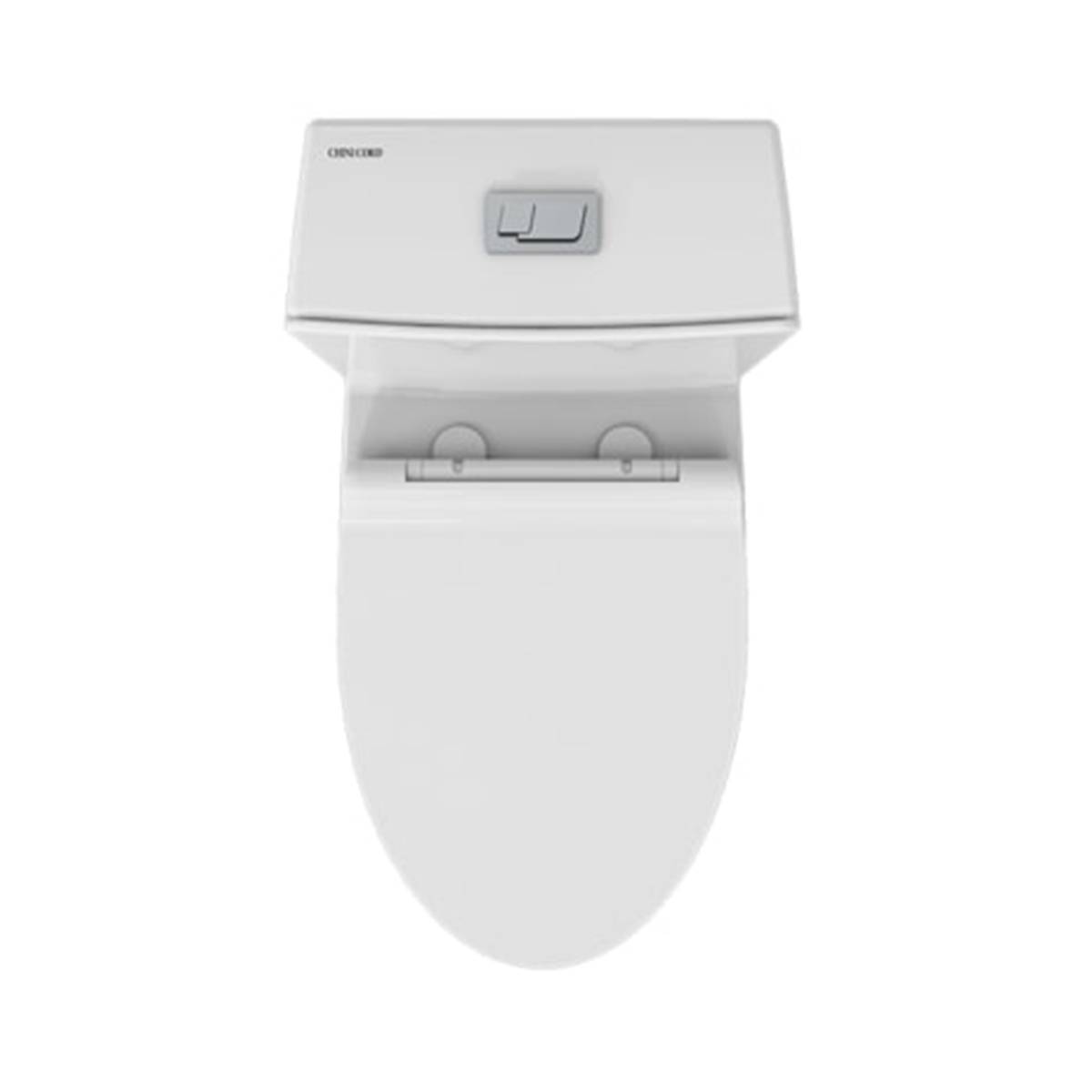 توالت فرنگی لیندا چینی کرد